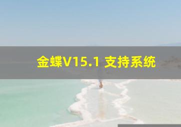 金蝶V15.1 支持系统